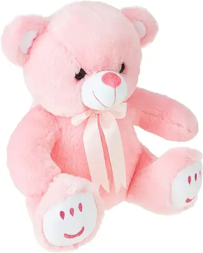Teddy 3